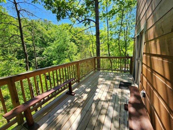 Dancing Bear Cabin