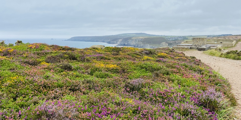Best Coastal Walks in Cornwall for All Abilities