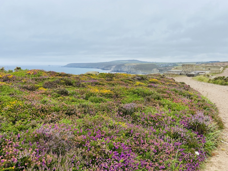 Best Coastal Walks in Cornwall for All Abilities