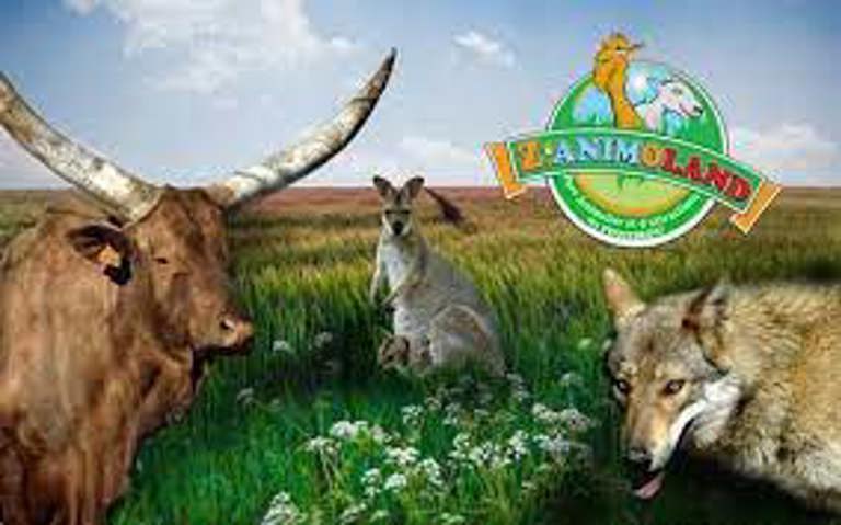 Best animal parks for kids at Las Cabanes holidays
