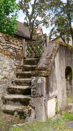 Seven stone steps leading to a gate with a tree overhead