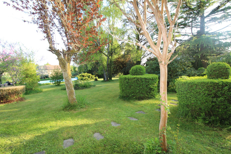 Trees and green lawn with two topiary leading to the pool area