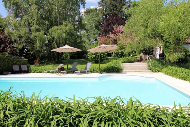 A blue pool with 2 sunbeds and brollies surrounded by a lush green garden