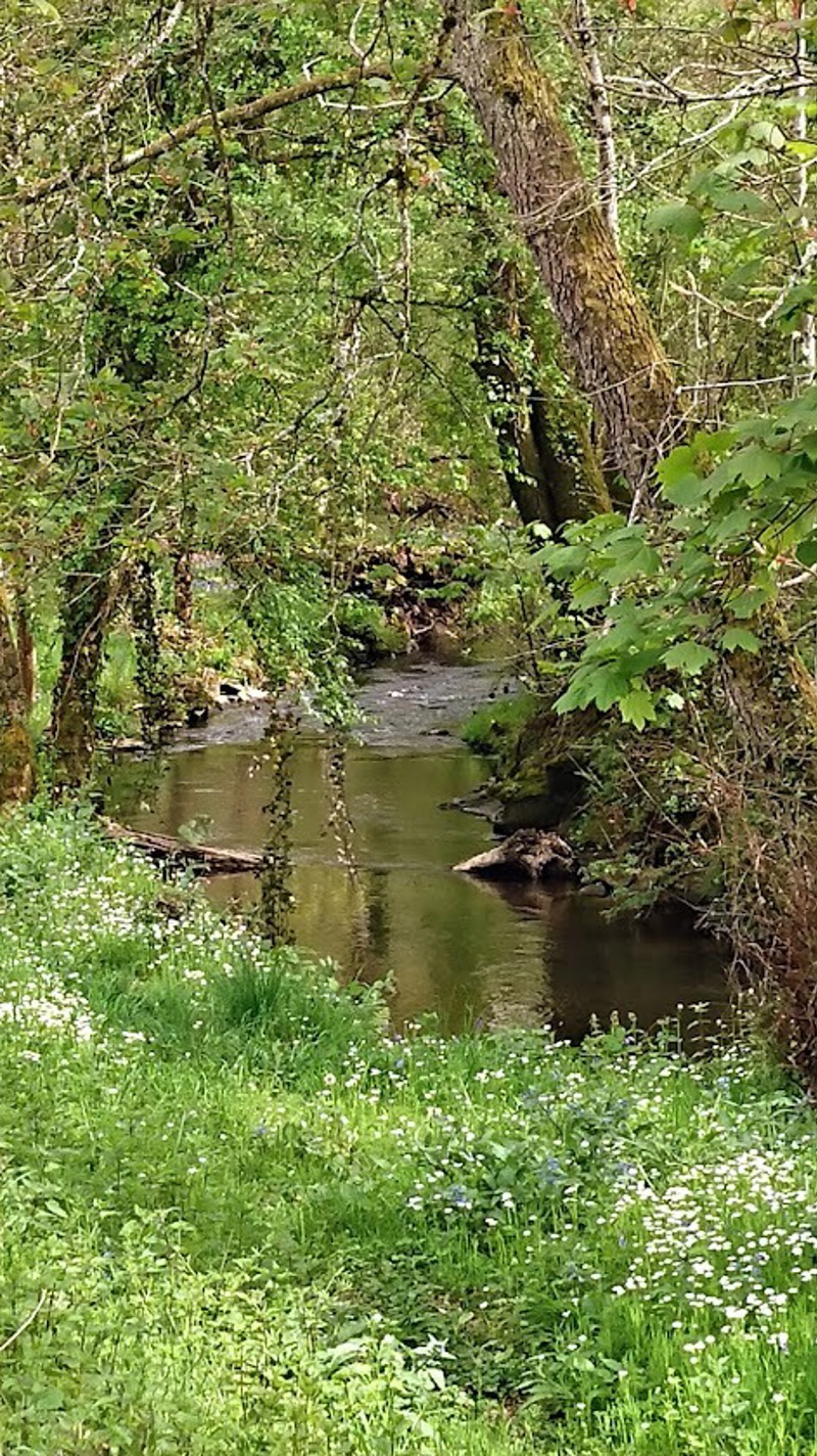 Spring in North Dordogne - experience the region at its most beautiful