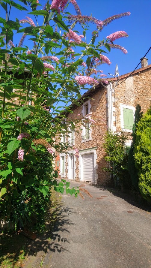 Quiet country roads in P&eacute;rigord Vert - no tour buses, no queues