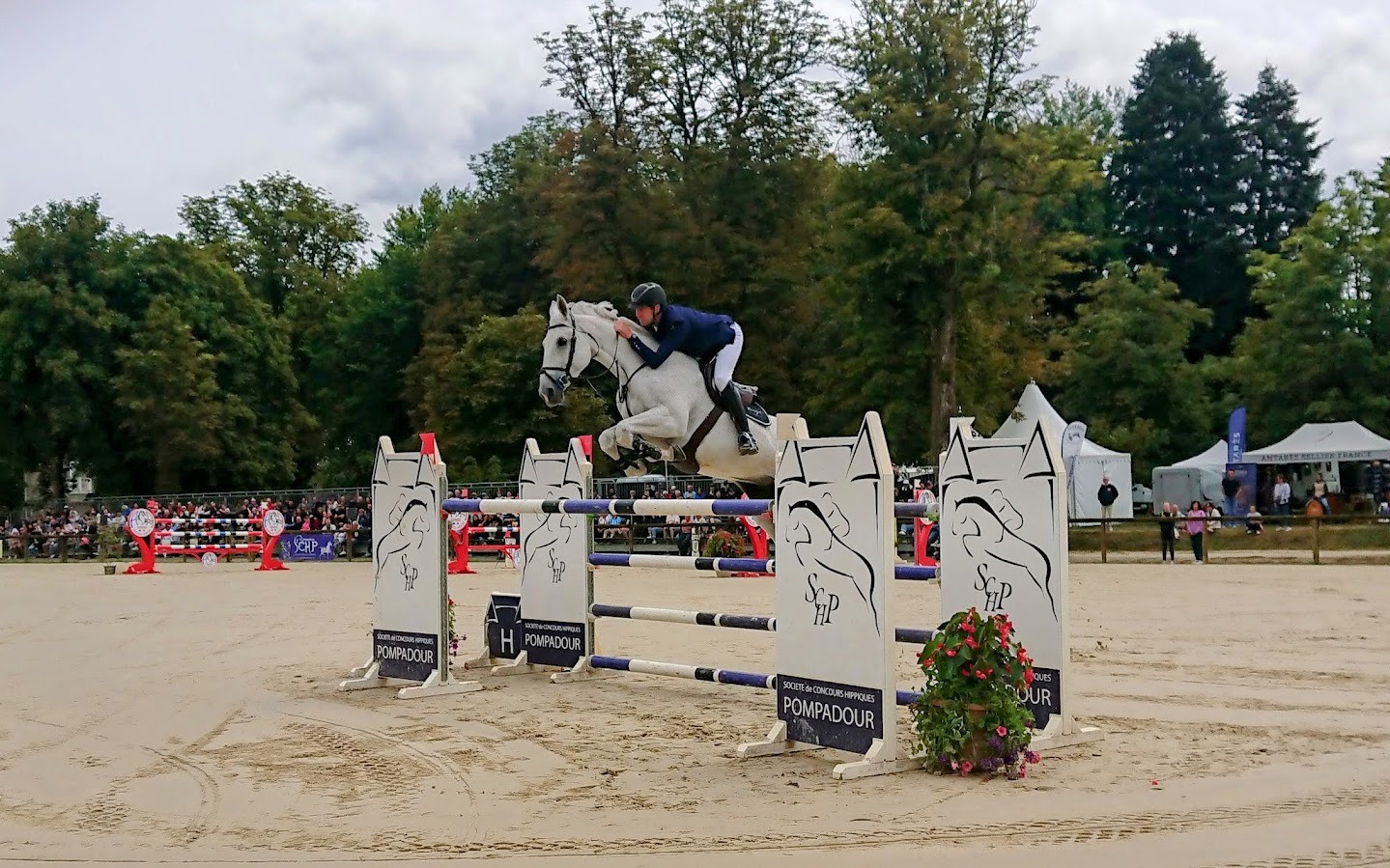 HOrse and rider jumping a fence at Pompadour National Stud, Correze
