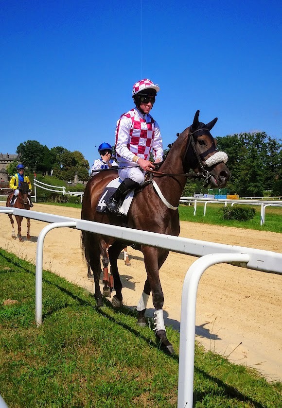 An external turetted corner of the chateau at Pompadour with trees in the foreground