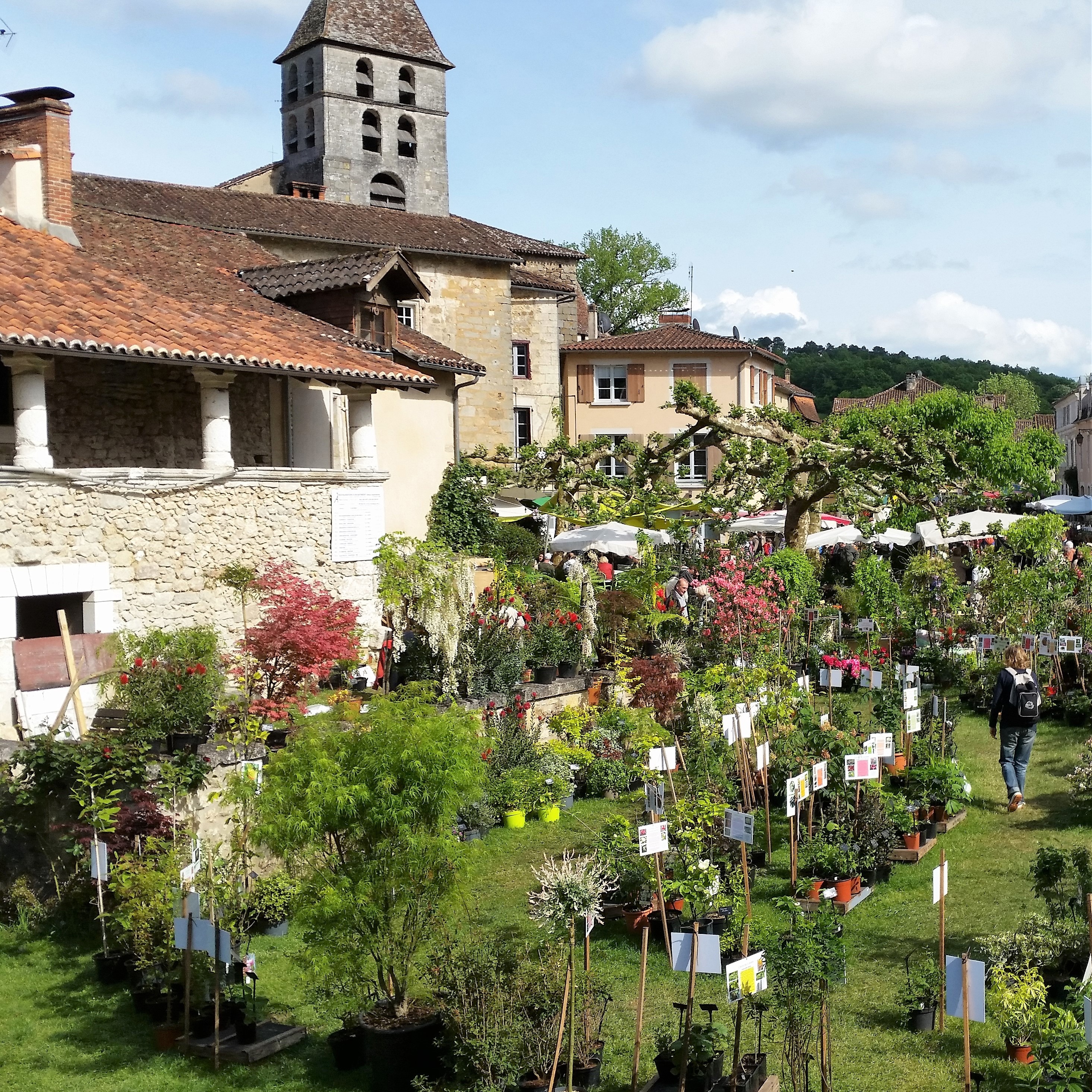Plant stalls filling the square at the Saint-Jean-de-Côle flower festival