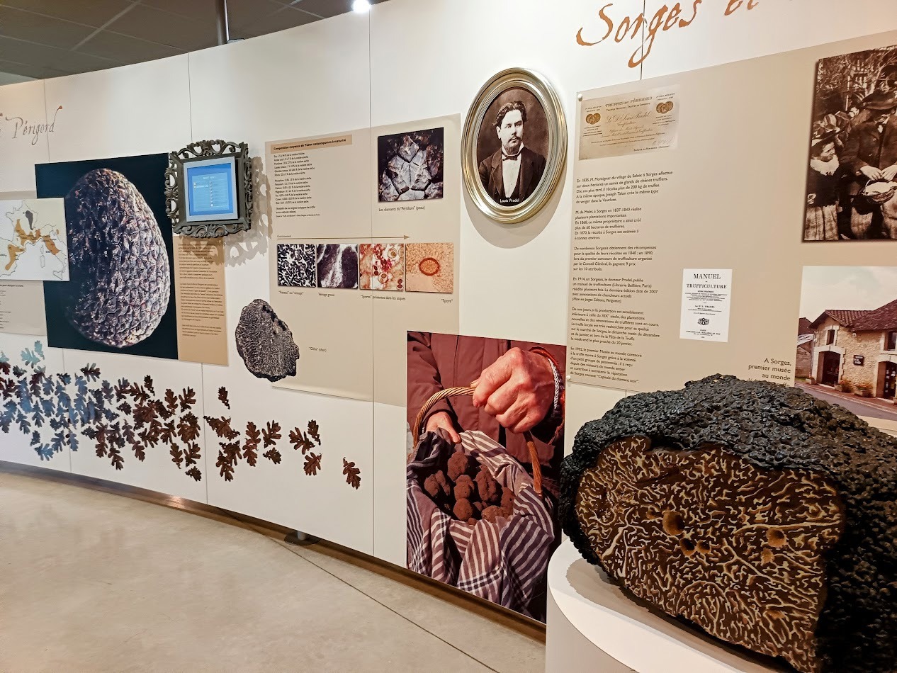The Black Truffle Mueum at Sorges Inside the Truffle Museum at Sorges in the Dordogneodgne