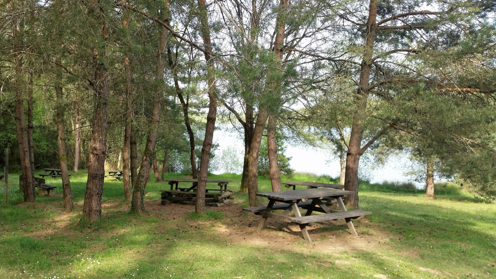 A picnic area under the trees in the Barrage de Mialet 
