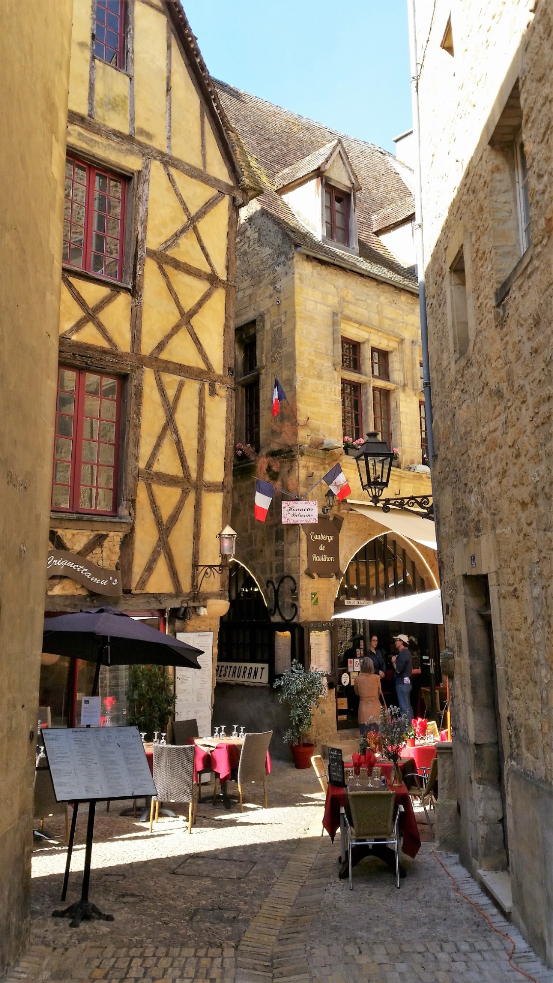 Three Geese in Sarlat le Caneda, Dordogne Three bronze geese in front of a stone building with blue fronted shop in sun
