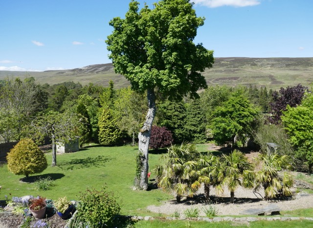 Main garden with views over the moors Main garden with views over the moors