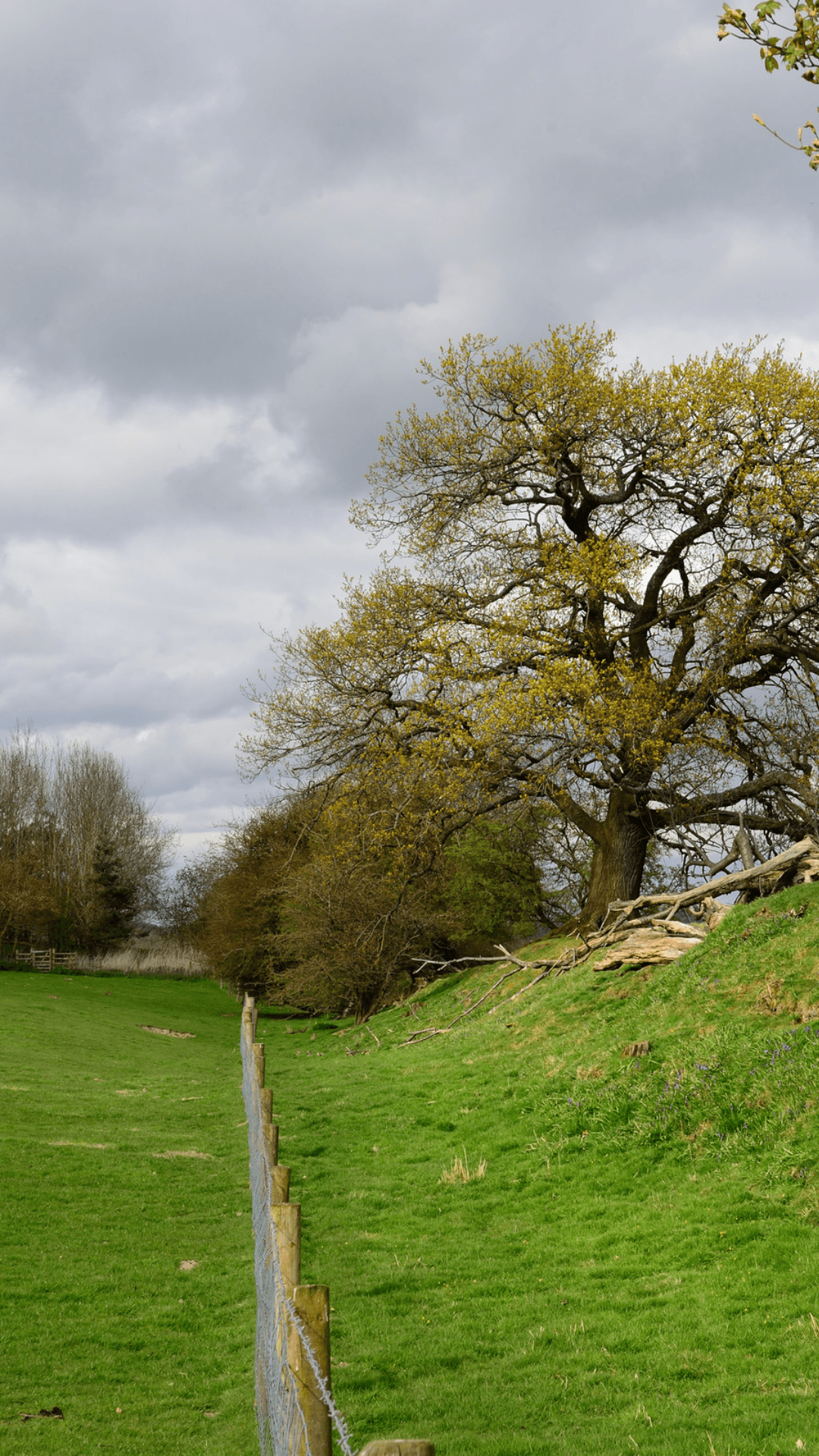 Walking trail in the Welsh countryside