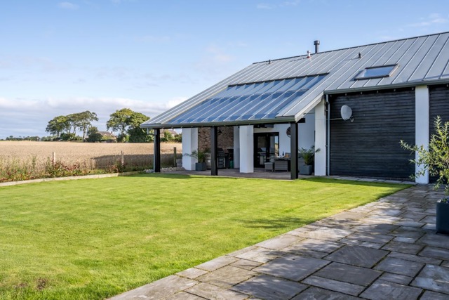 Open Plan Living Area Dog sitting in living room