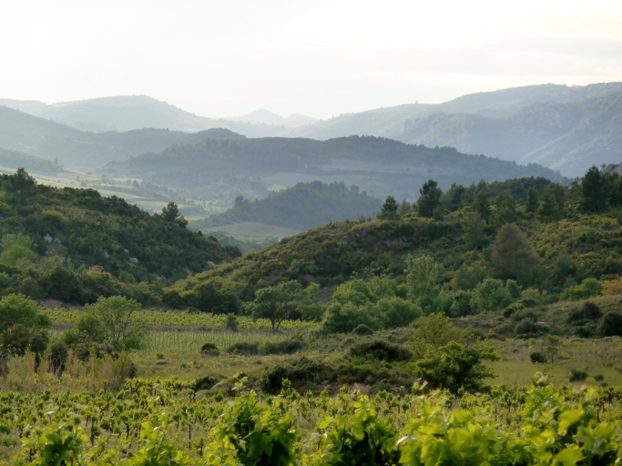 Durban Corbieres Languedoc Holiday Villa