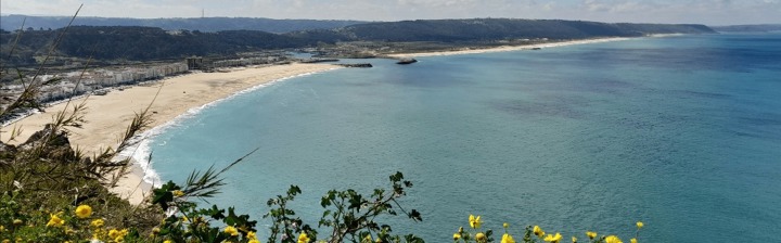 Salgado Beach