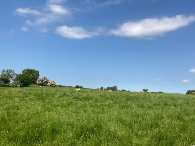 Image of the view from the secret sun terrace garden at Moulton View Holiday Cottage