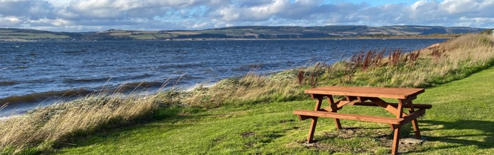 picnic bench on grass