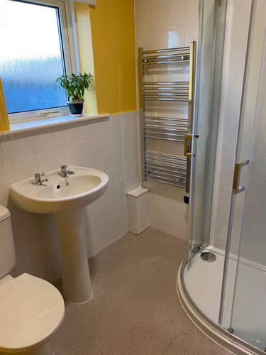 shower room with heated towel rail