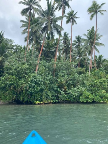 Take our kayaks for a paddle to explore our beautiful natural surroundings.