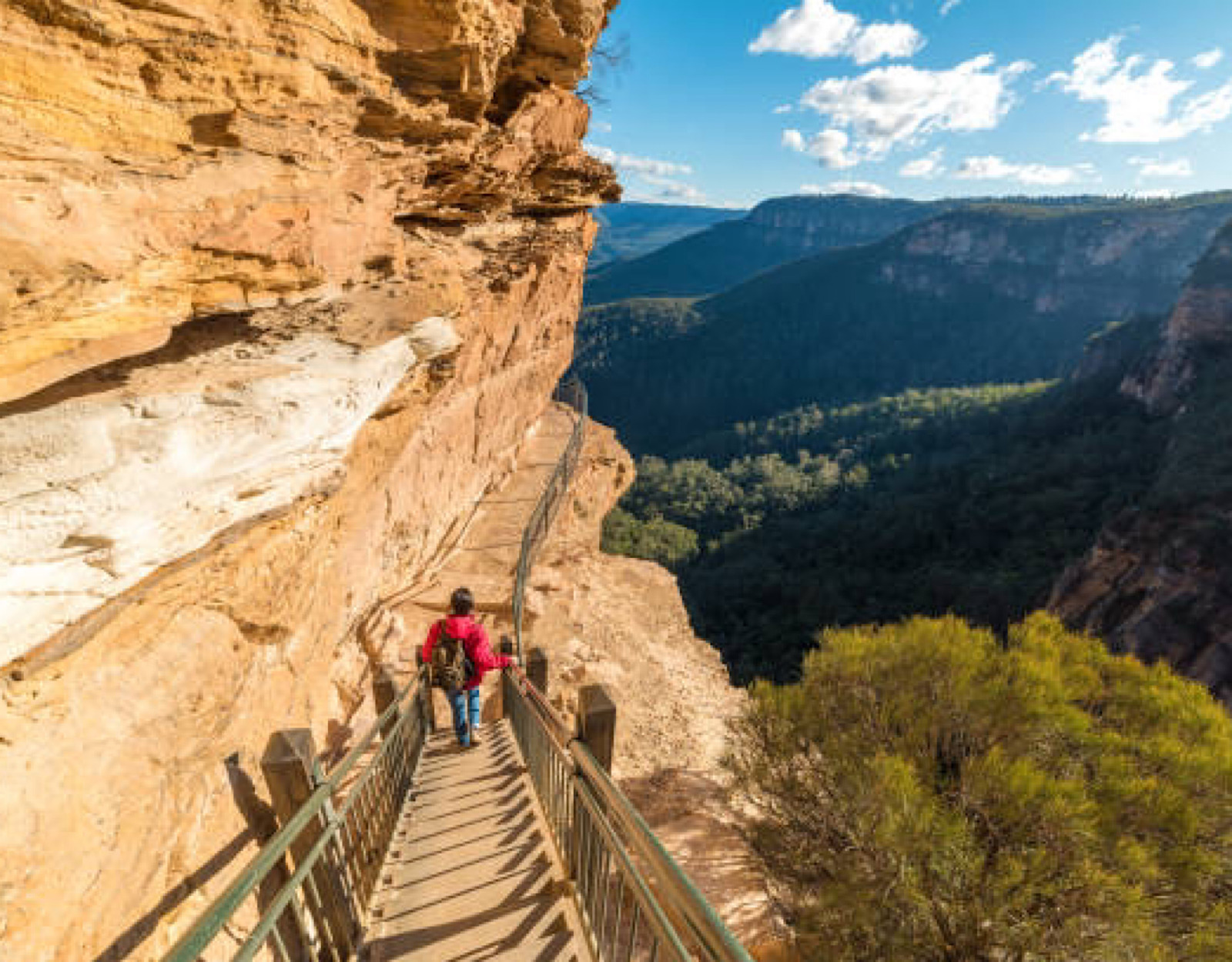 Pet Friendly Blue Mountains with Fireplace in Katoomba