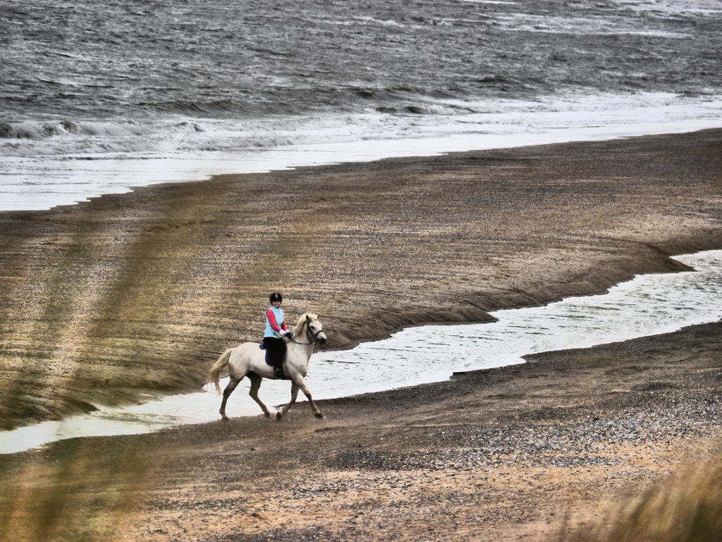 Horse Riding in Wicklow Wicklow Holiday Cottage