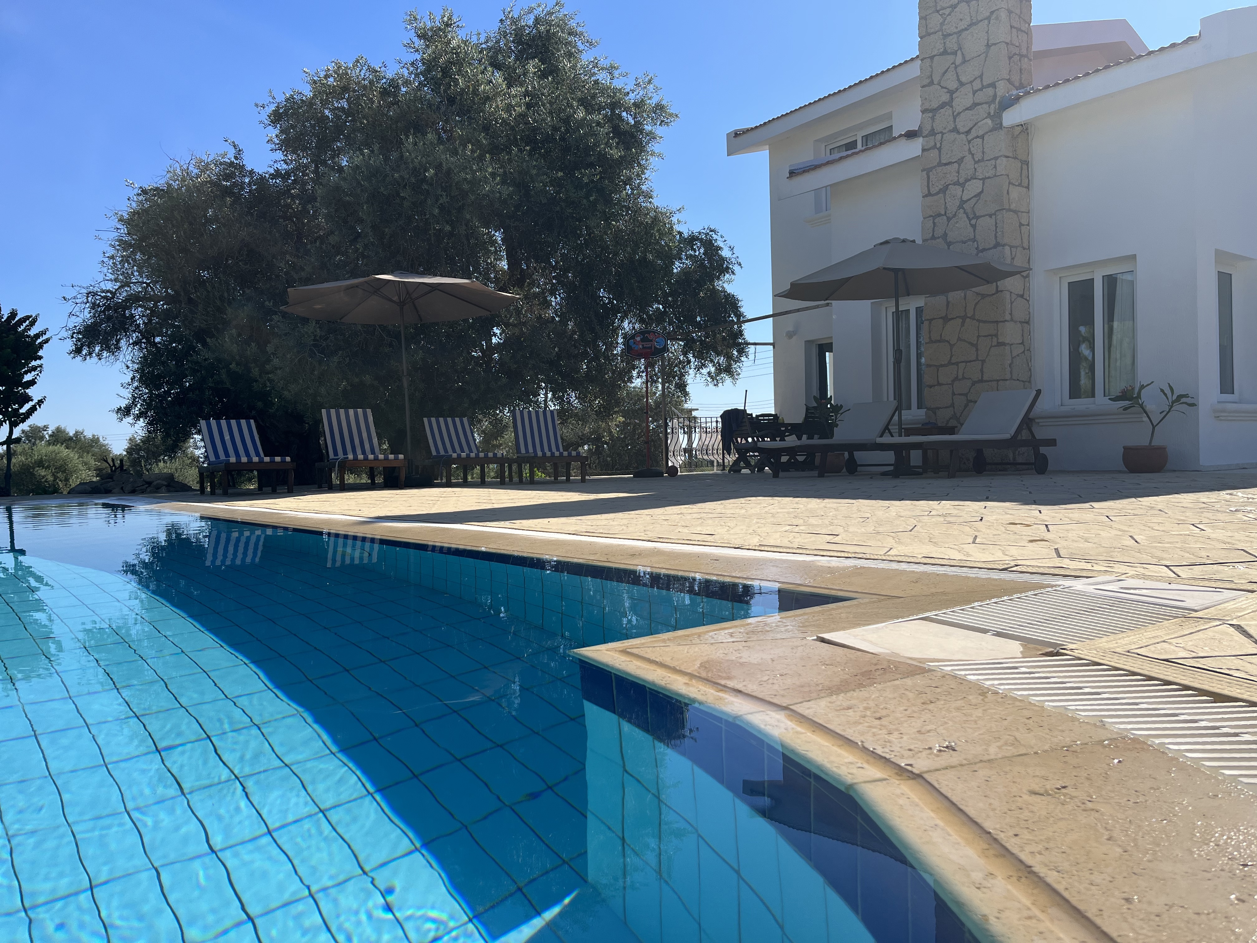 Outdoor terrace with sun loungers and private pool at Villa Zeytin