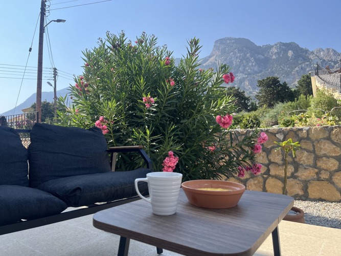 Coffee served on the Villa Zeytin terrace