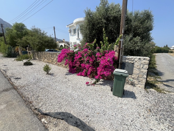 Bougainvillea and Mediterranean planting in the villa garden
