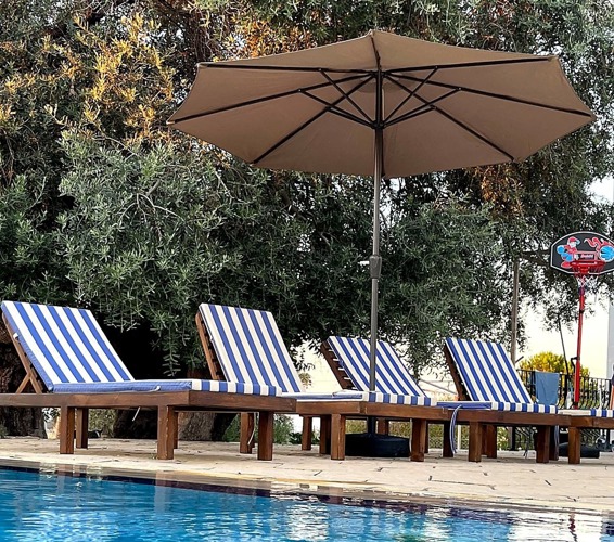 Striped sun loungers in the shaded pool garden