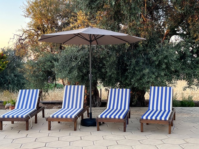 Sun loungers beside the private pool and olive trees at Villa Zeytin