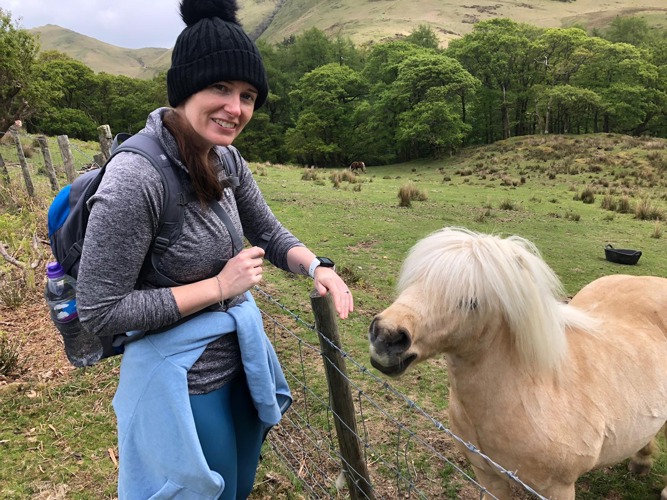 Fell walking fellwalking hiking horse pony mountain countryside