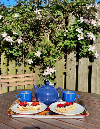 Enjoy a cream tea in the garden