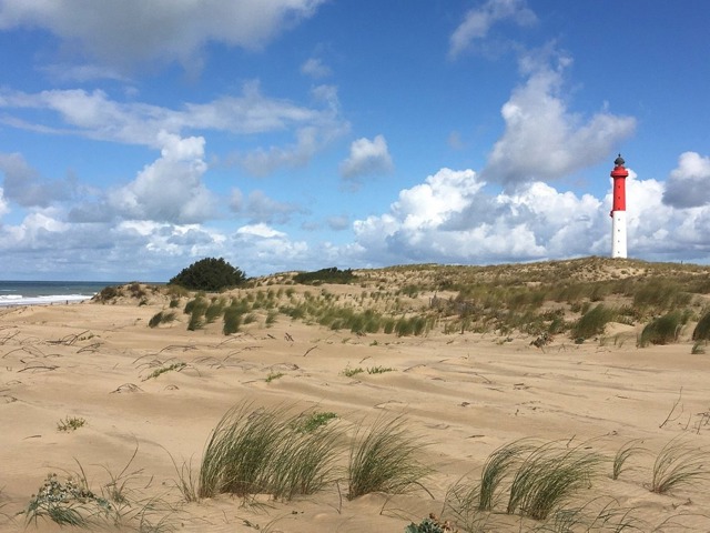 Sens De La Mer - Plage De La Palmyre Dunes naturelles et phare de La Coubre sur la Plage de la Palmyre, plage familiale