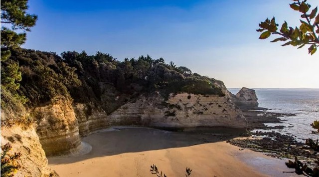 Sens De La Mer - Plage De Suzac-Saint Georges-de-Didonne Plage de Suzac à Saint-Georges-de-Didonne, grande plage bordée par la forêt de Suzac
