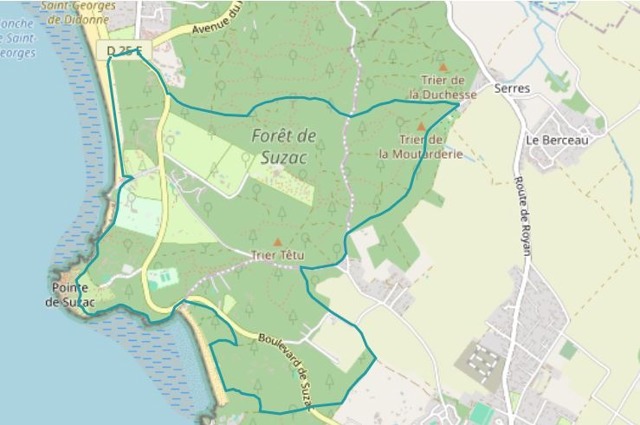 Randonnée de 7,5 km entre le Point de Suzac et la forêt de Suzac, Saint Georges de Didonne Randonnée de 7,5 km entre le Point de Suzac et la forêt de Suzac, dénivelé modéré, idéale pour les débutants