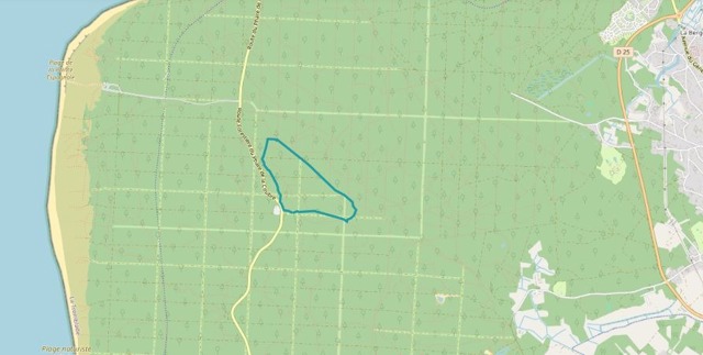 Sentier de Gardour, forêt de la Coubre, La Tremblade Sentier de Gardour, forêt de la Coubre, randonnée de 3,1 km avec modéré dénivelé, adapté aux débutants