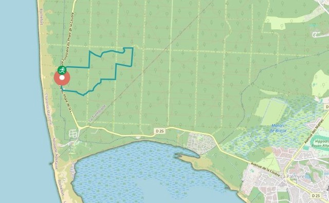 Sentier Notre-Dame-De-Buze, forêt de la Coubre, randonnée de 4,3 km avec faible dénivelé, accessible aux débutants